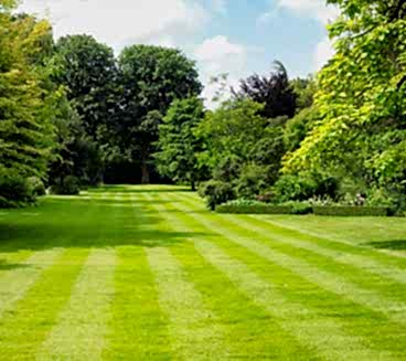 Generated 1 Paragraph, 1 Words, 5 Bytes Of Lorem Ipsum