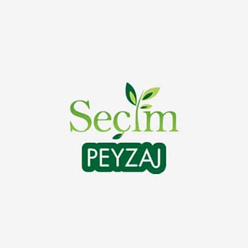 Seçim Peyzaj
